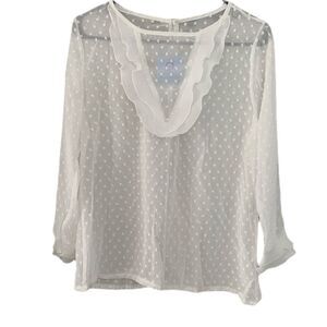 Beautiful Sheer Blouse